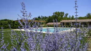 Seasonal outdoor pool, sun loungers
