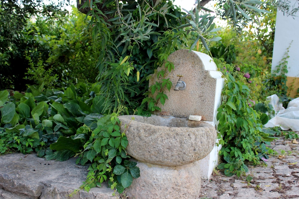 Foto - Aromas dos Salgueiros