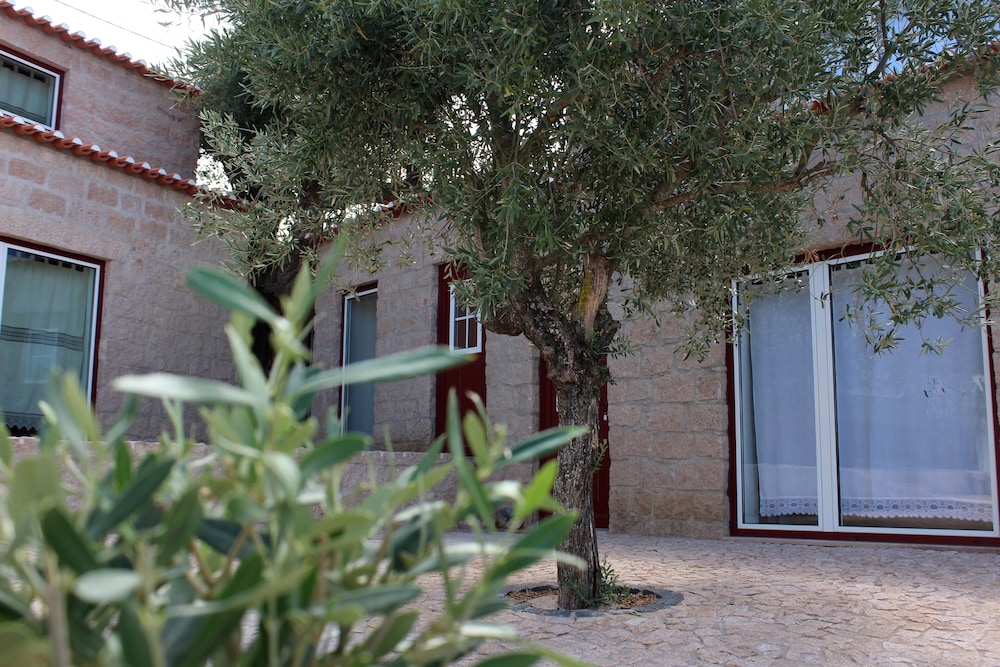 Foto - Aromas dos Salgueiros