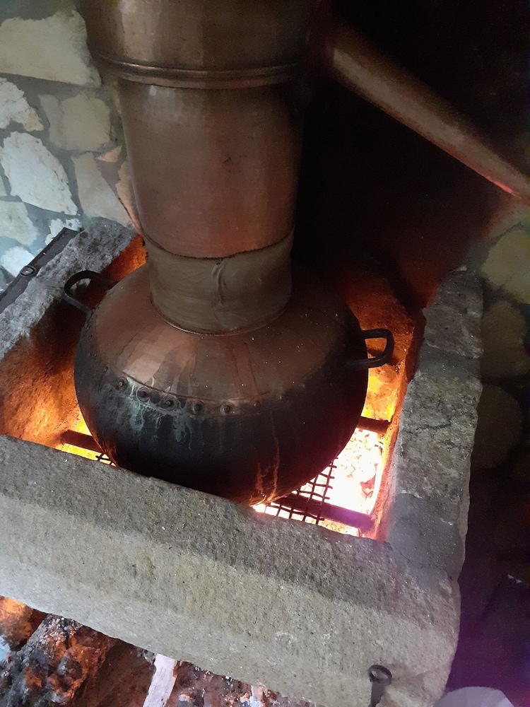 Foto - Aromas dos Salgueiros