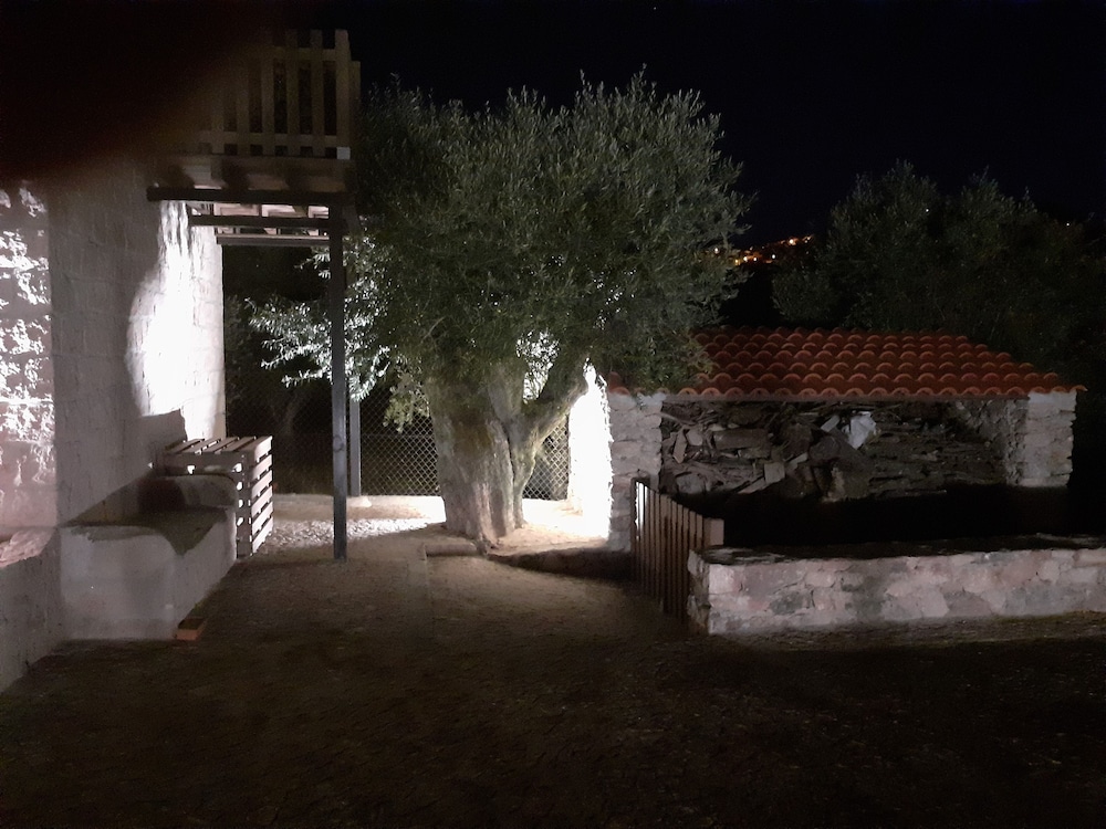 Foto - Aromas dos Salgueiros