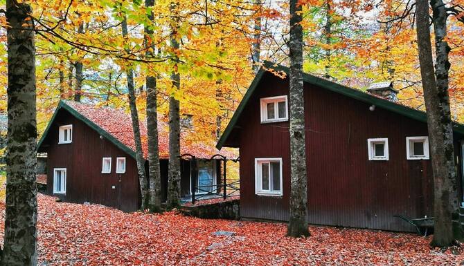 habitat mesire evleri 2022 room prices deals reviews expedia com