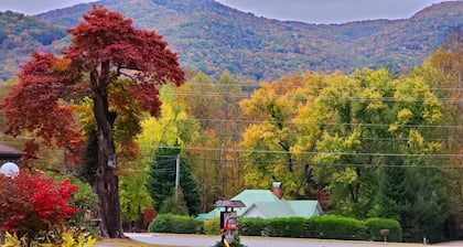 Tanglewood Motel and Log Cabins