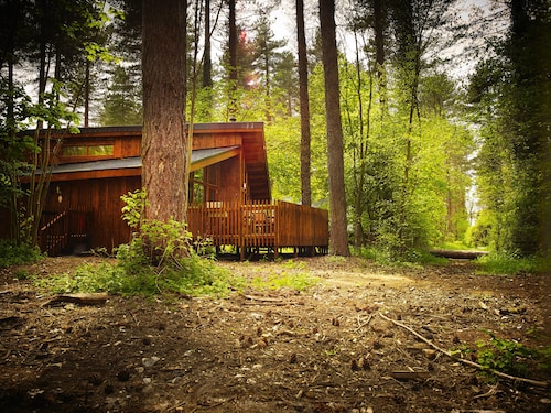 Best Lodges In Thetford For 2020 Find Cheap 60 Lodges Travelocity