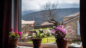 Vistas desde la habitación