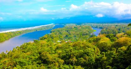 Hotel Tortuguero Beachfront