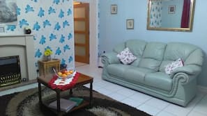 TV, fireplace, DVD player, books