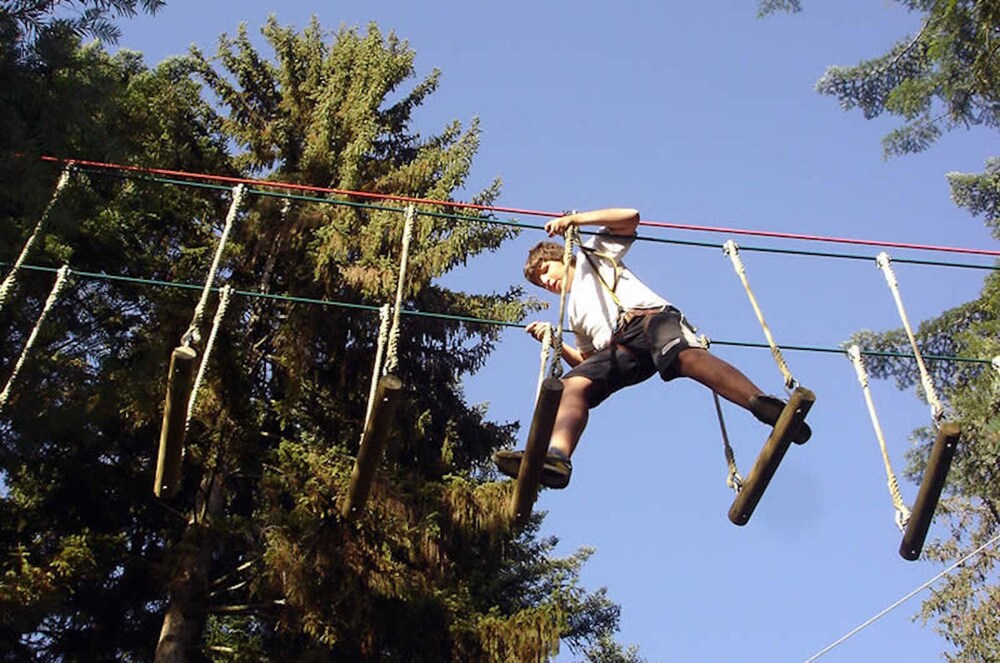 Les Chalets Autrichiens
