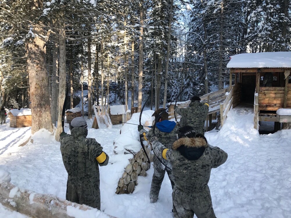 Les Chalets Autrichiens