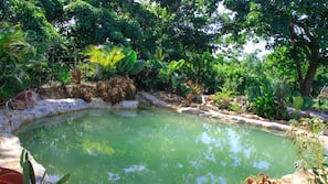 2 piscinas al aire libre