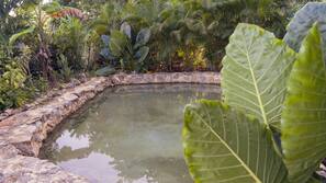 2 piscinas al aire libre