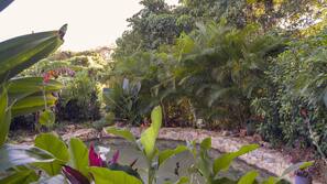 2 piscinas al aire libre