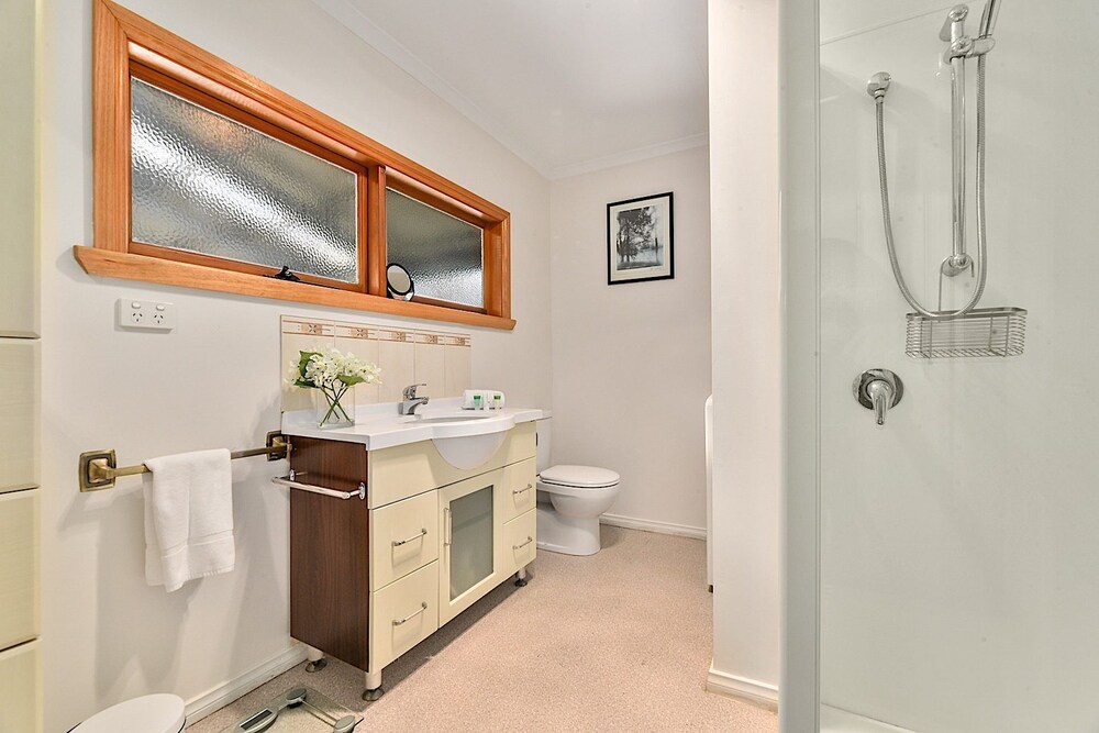 City buzz! - Launceston, TAS