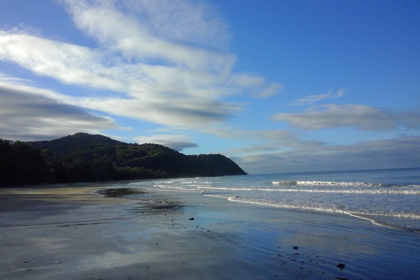 Moo Creek Rainforest hideaway