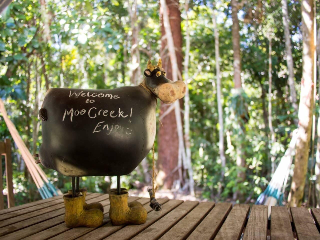 Moo Creek Rainforest hideaway