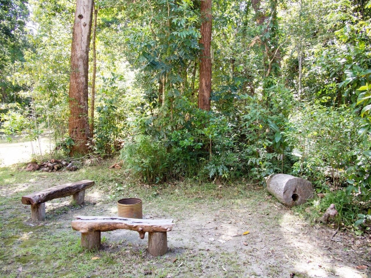 Moo Creek Rainforest hideaway