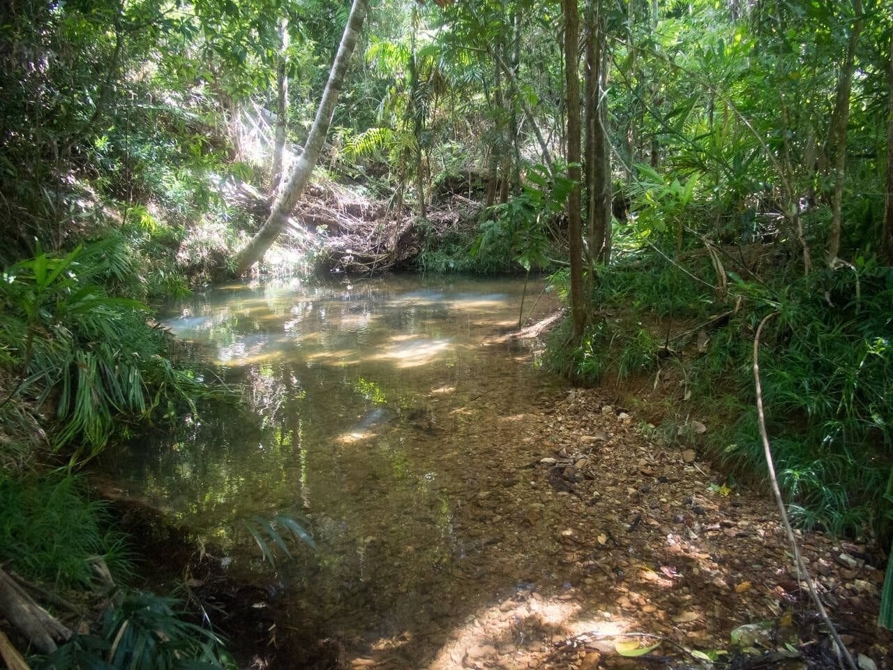Moo Creek Rainforest hideaway