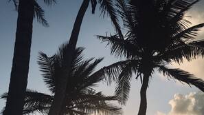 Sun-loungers, beach towels