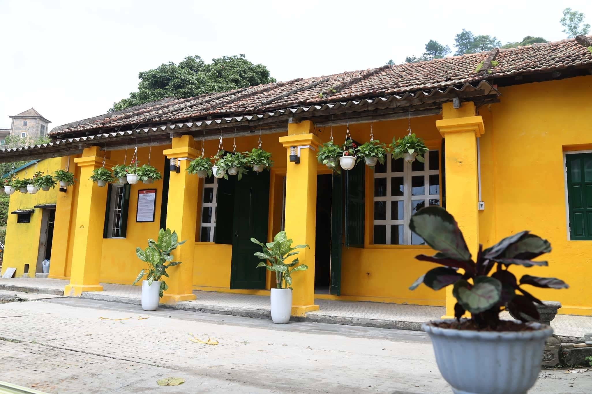 ZO Boutique House Tam Dao - Hostel in Tam Dao, Vietnam