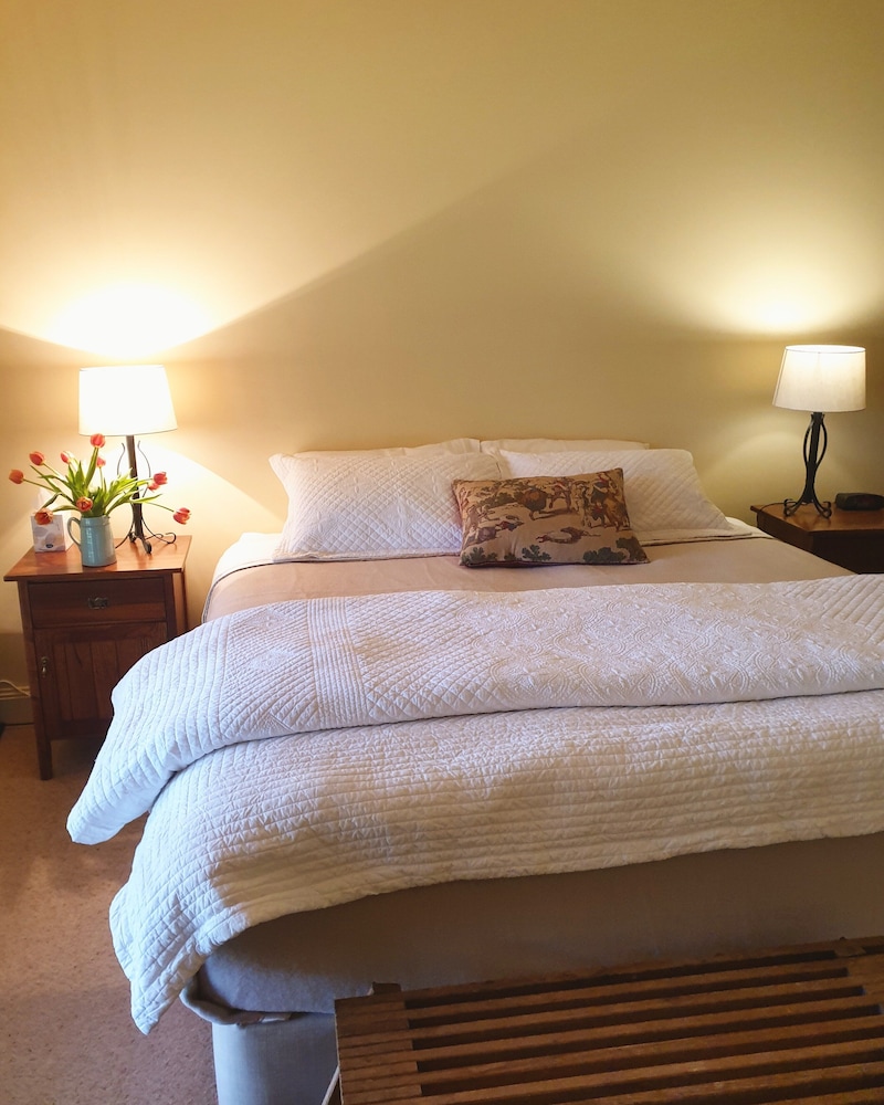 Room, Byronsvale Vineyard and Accommodation