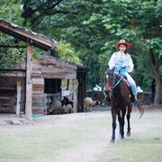 チャン クーン観光ガイド 定番人気スポットを参考に自分にピッタリの観光プランを立てよう エクスペディア