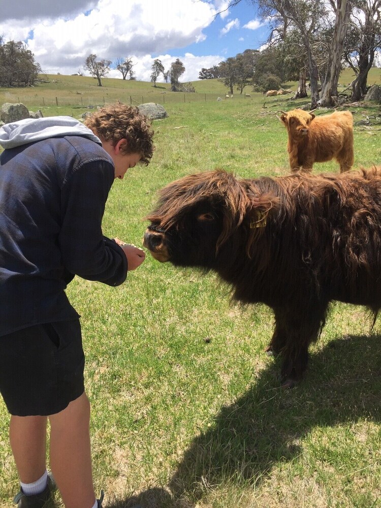 Avonside 2 Eco Farm Stay and Pet Friendly