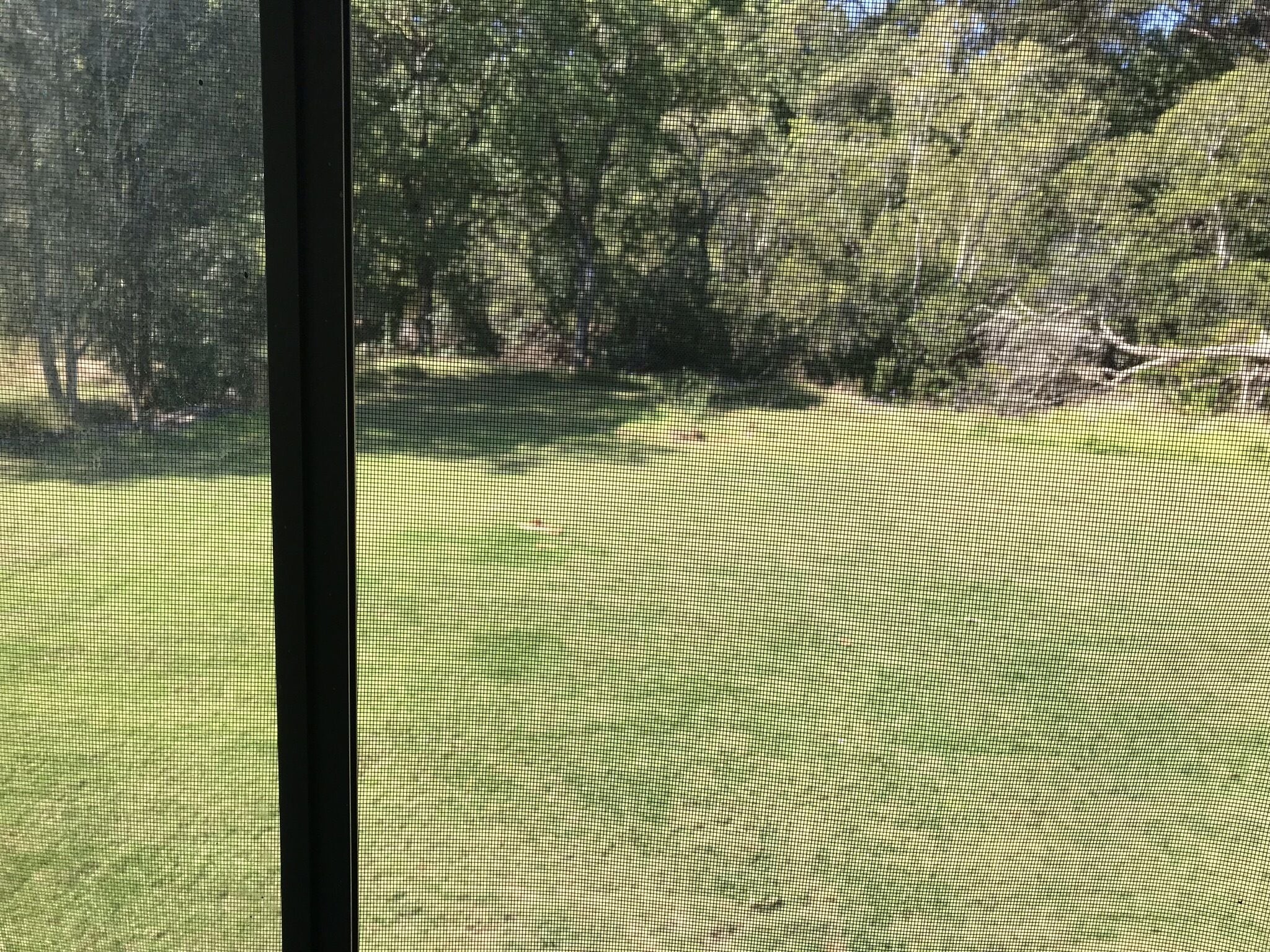 Repton Water's Cabin