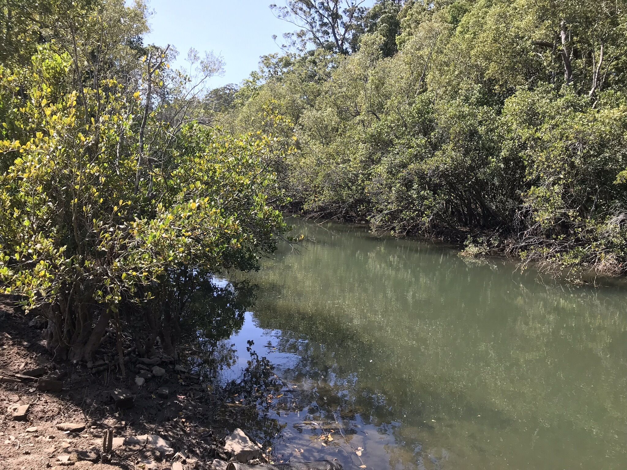 Repton Water's Cabin