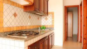 Fridge, stovetop, cookware/dishes/utensils