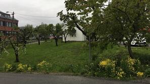 Skrivebord, gratis wi-fi og sengetøy