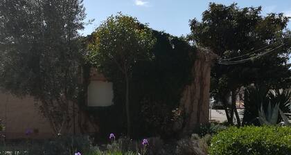 Casa Rural Los Pinos