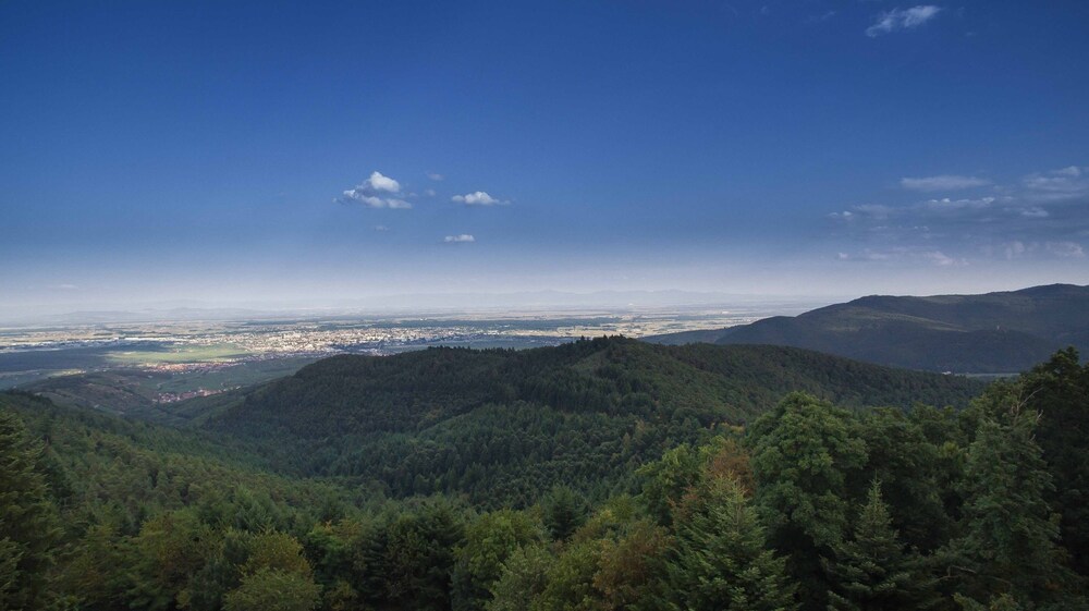 Regina Trois Epis Grand Gite Niedermorschwihr Fra Best Price Guarantee Lastminute Com Au
