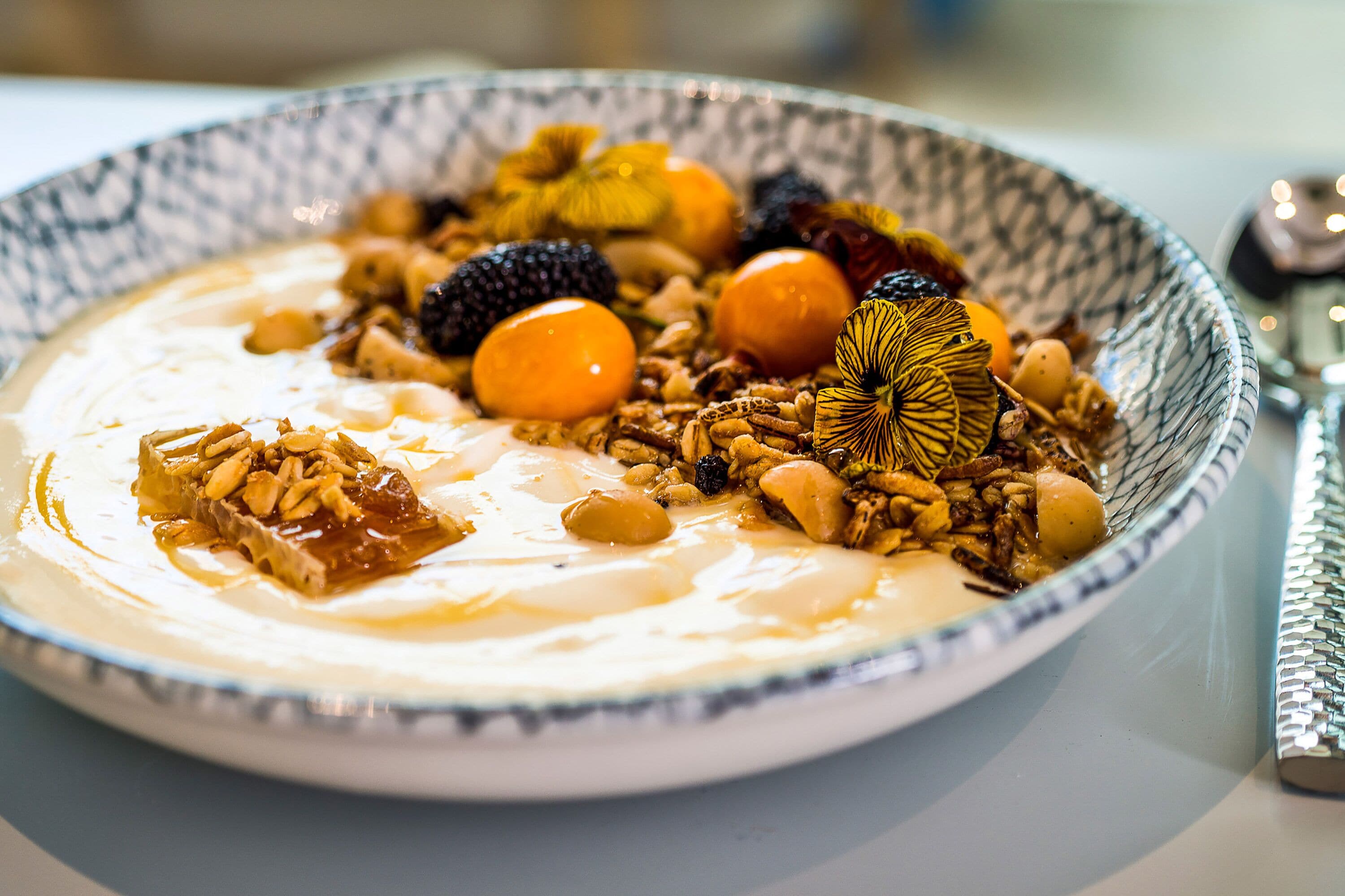 Art Series - The Adnate