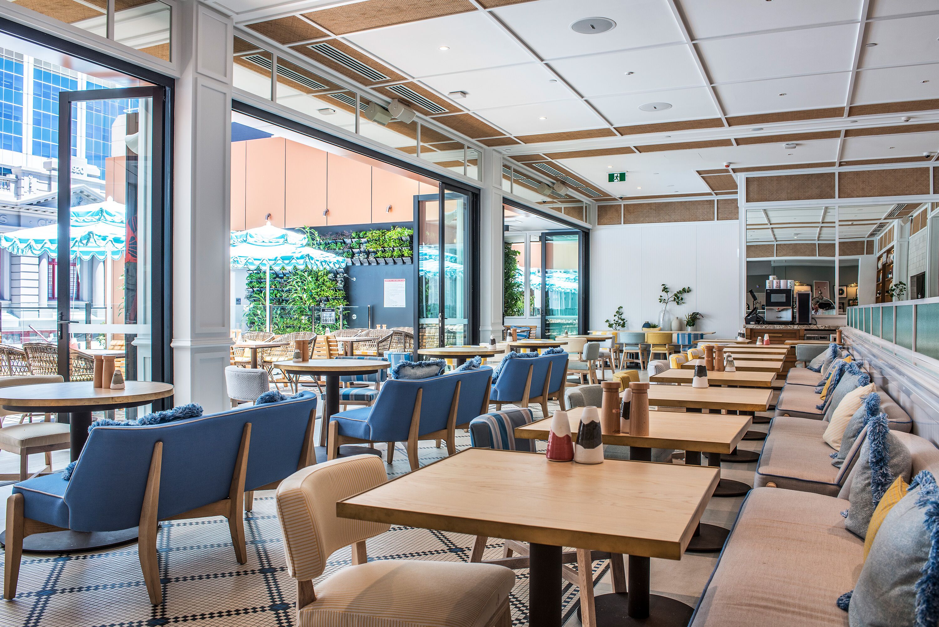 Art Series - The Adnate