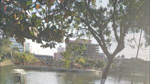 Área do estabelecimento