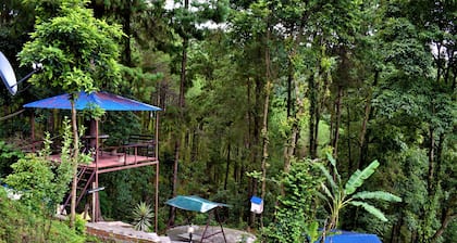 Jungle Crown Organic Homestay
