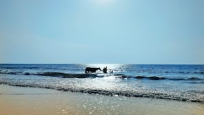 Private beach, white sand