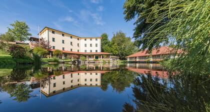 Boutique Hotel Pri Mlyne