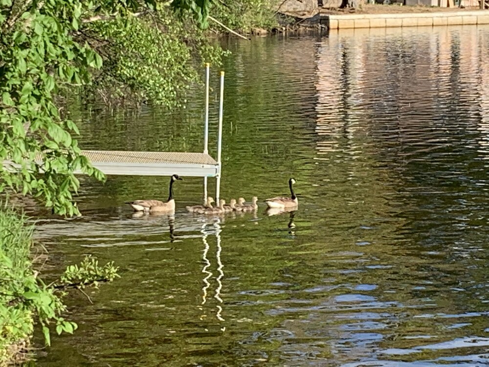 Spacious Modern Home on Tripp Lake Maine in Poland Best Rates & Deals