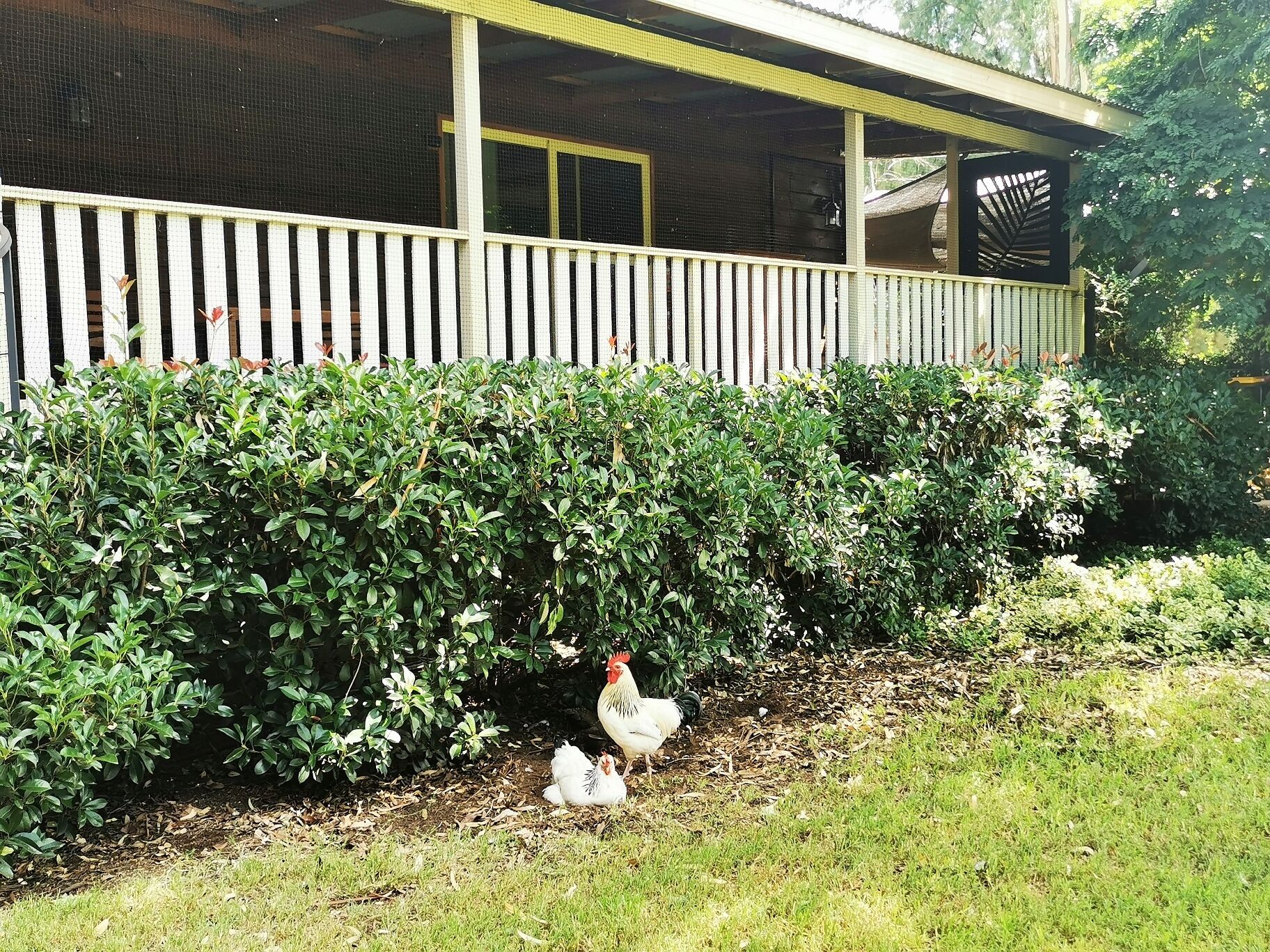 Quiet Country Retreat 2 Minutes From the CBD