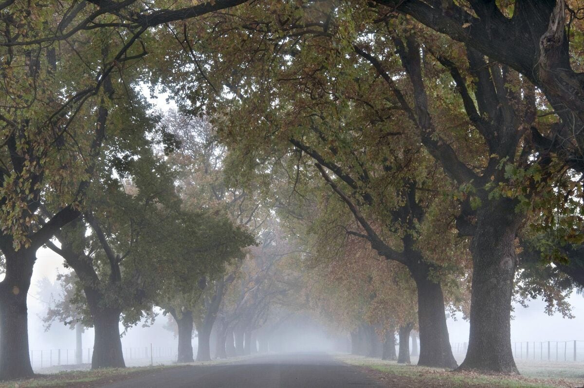 Quiet Country Retreat 2 Minutes From the CBD