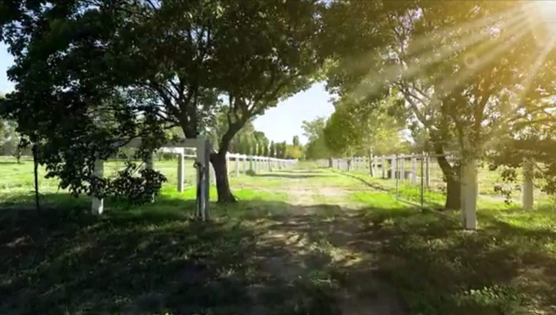 Quiet Country Retreat 2 Minutes From the CBD