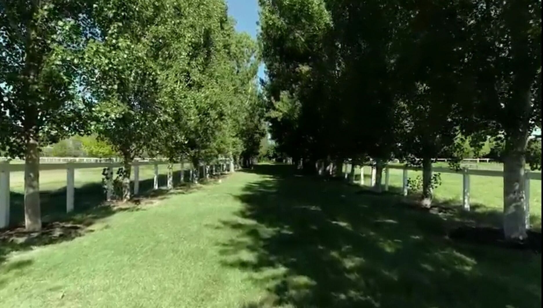 Quiet Country Retreat 2 Minutes From the CBD