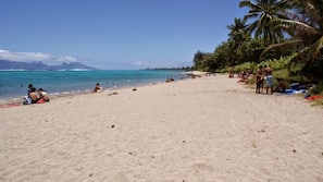 Beach nearby, white sand
