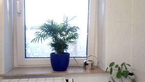 Ausblick vom Zimmer