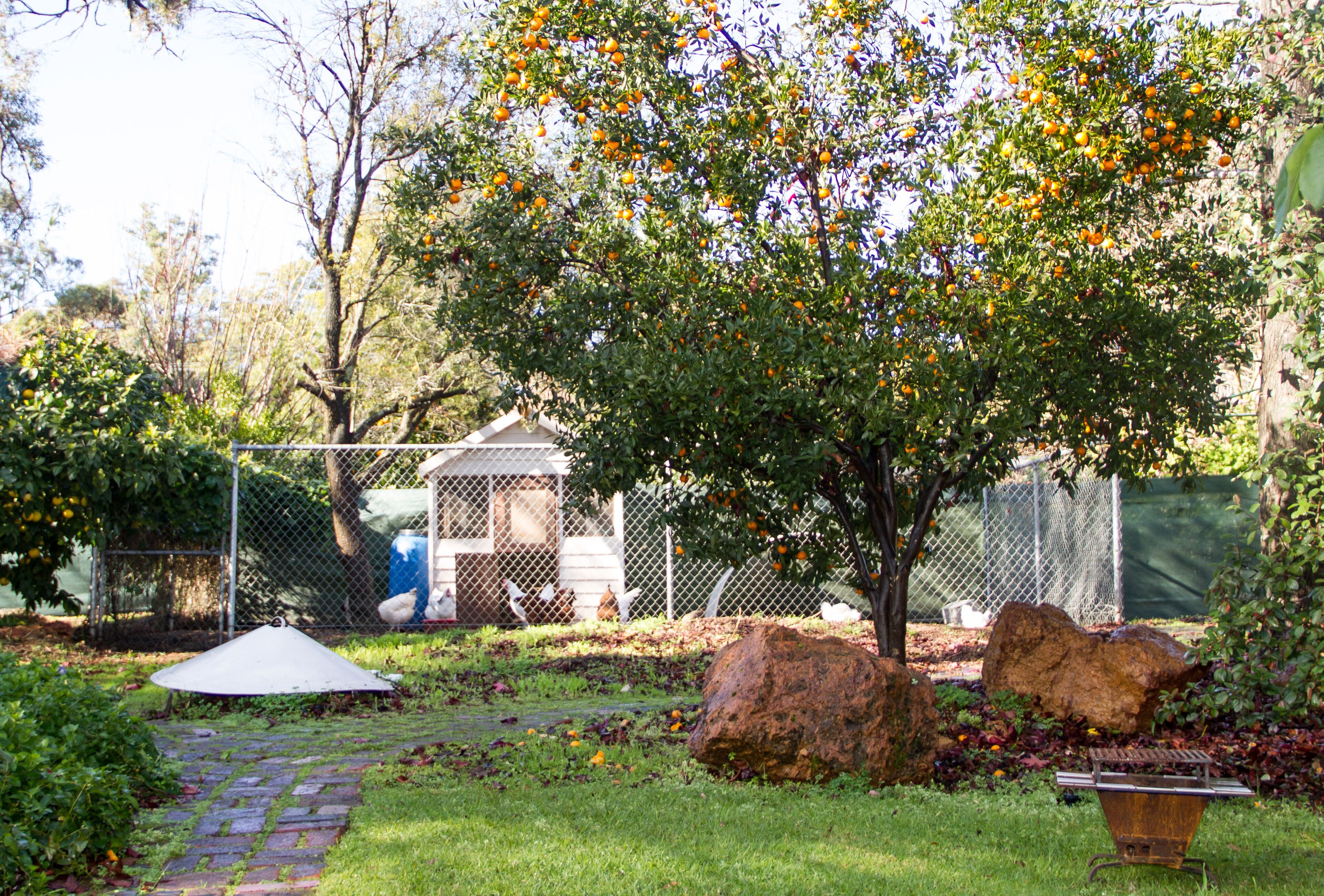 Farview Guest Accommodation