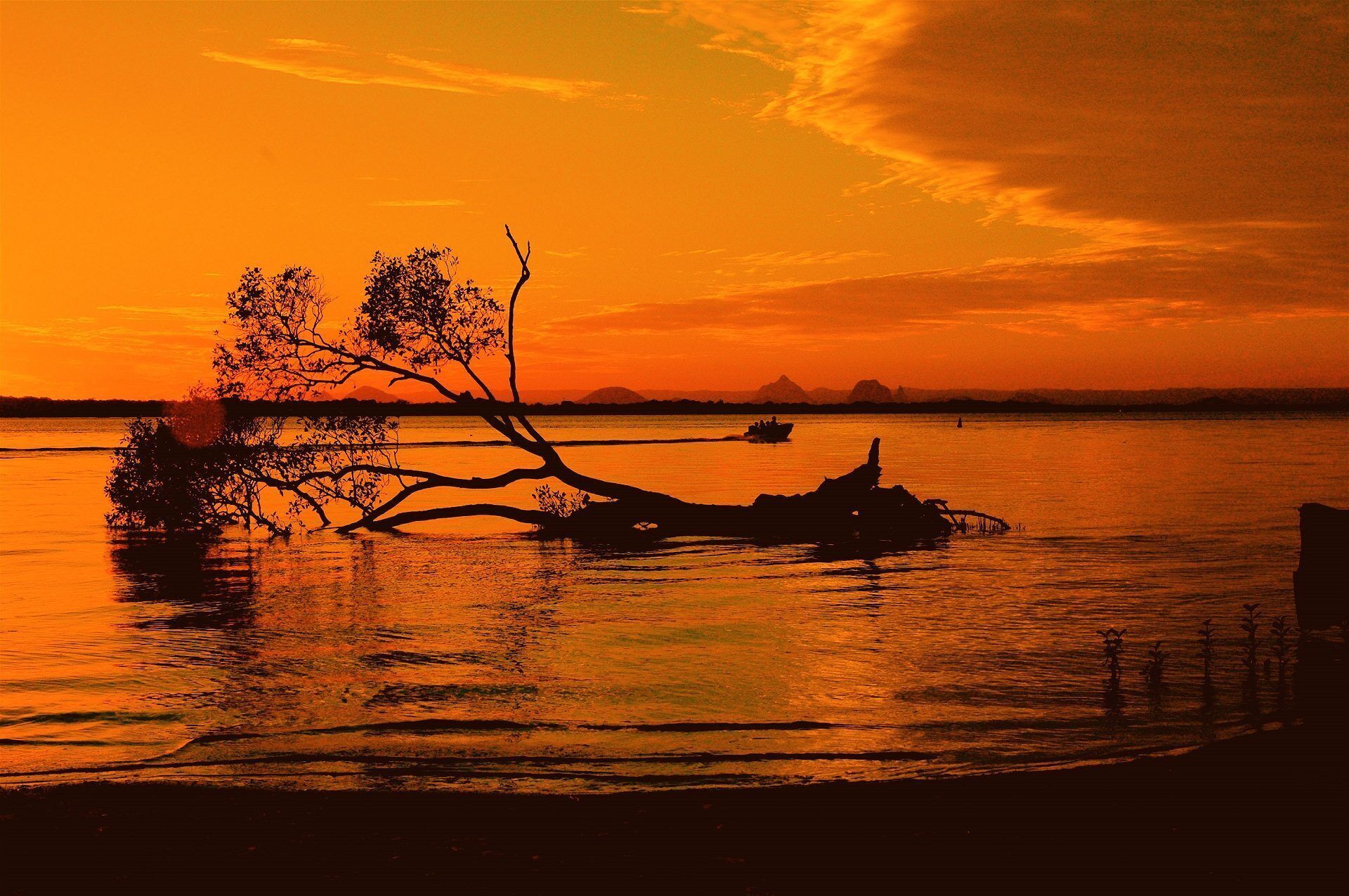 Light, Airy 1st Floor Unit - Marbrin Close, Bellara