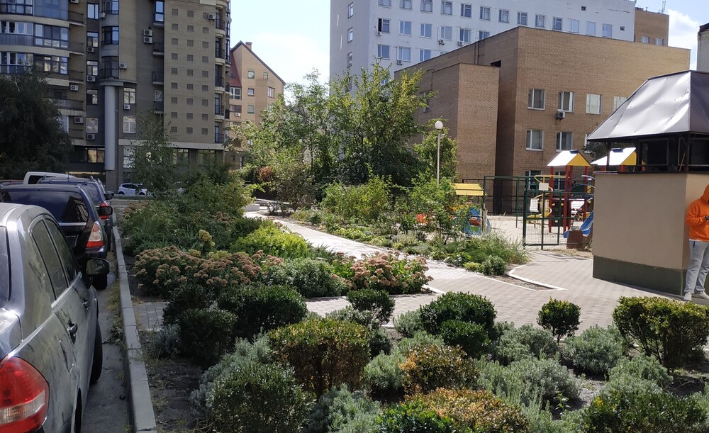 Foto - Cool Traveler