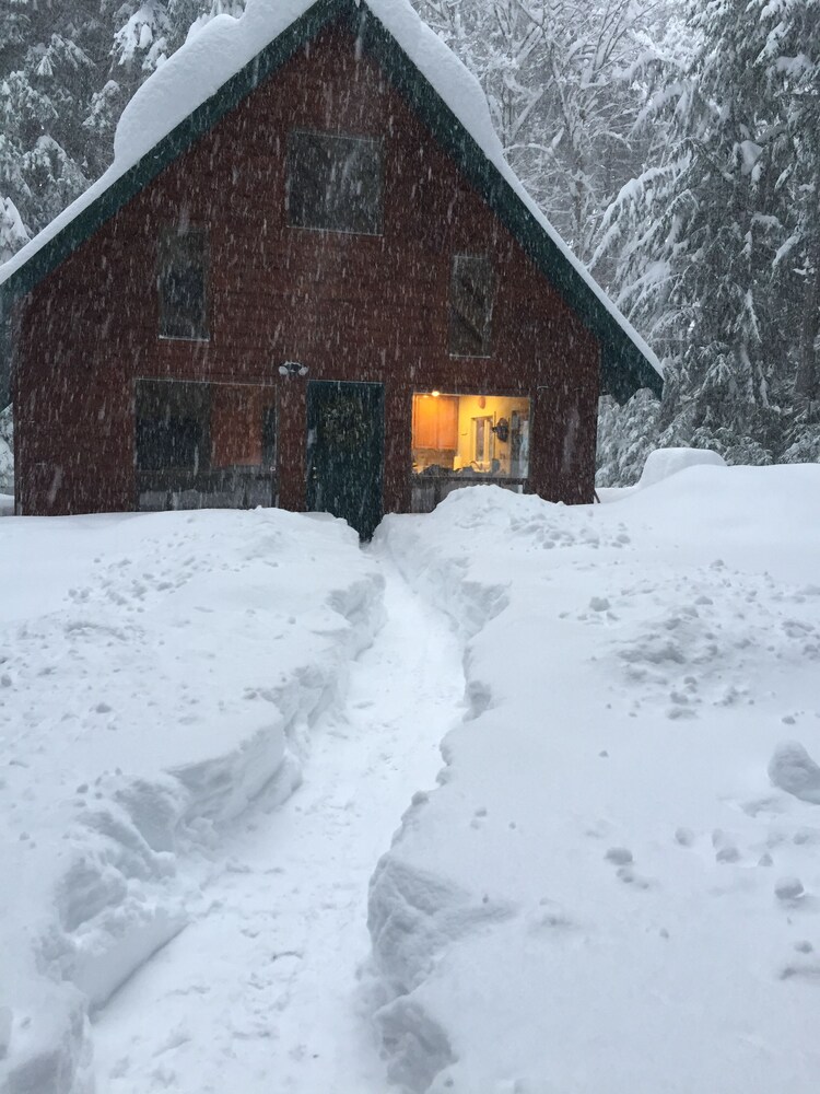 Secluded Ski Cabin Cozy Crystal Mountain / Mt. Rainier Adventure Base