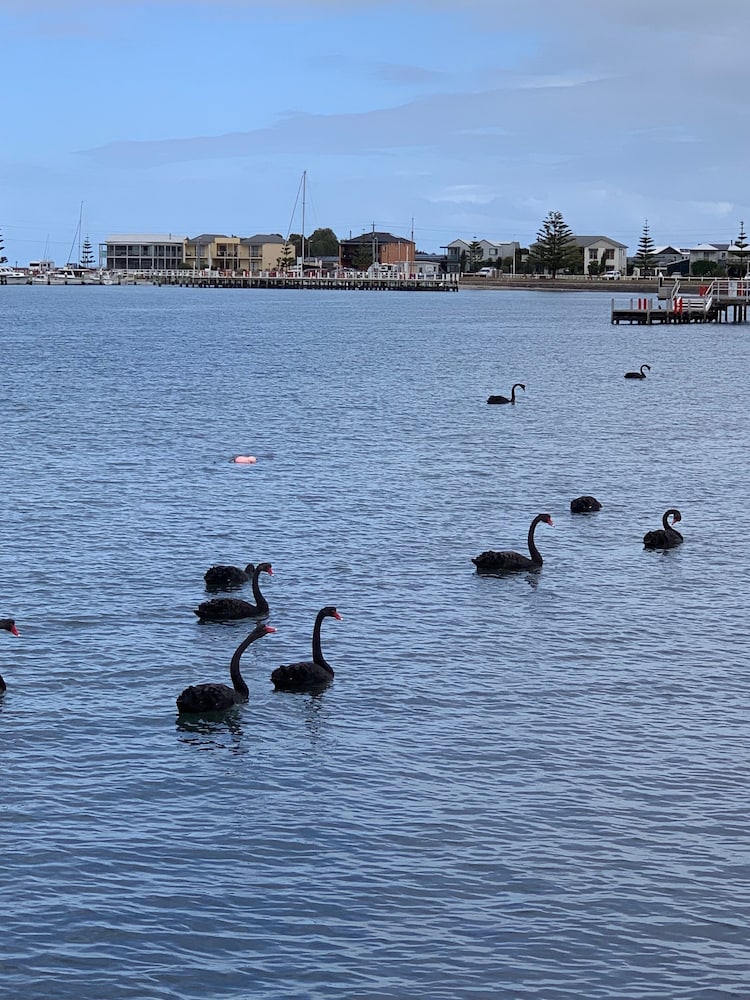 Boat Harbour Jetty B&B